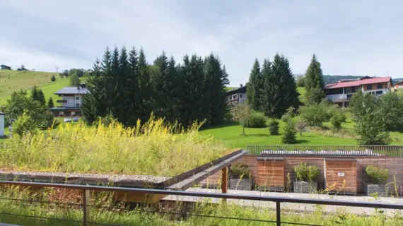 Green roof with trees and a building in the background.