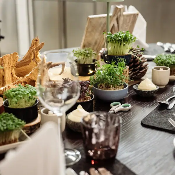 A table with a variety of plants and table decorations.