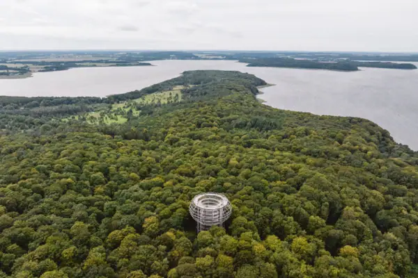 Große runde Struktur in einem Wald.
