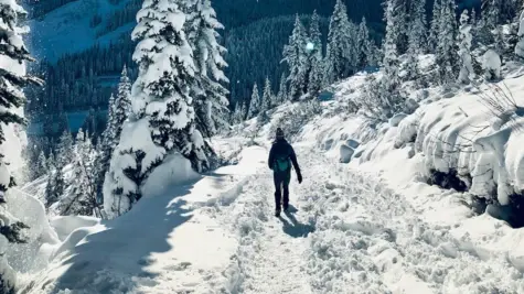 A person walks through a snowy winter landscape and mountains can be seen in the background.