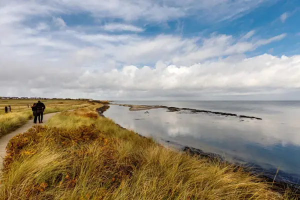 Grass and water next to a body of water under a cloudy sky.