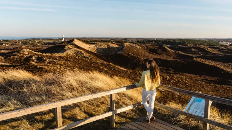 A woman is standing on a wooden deck, looking out over a landscape