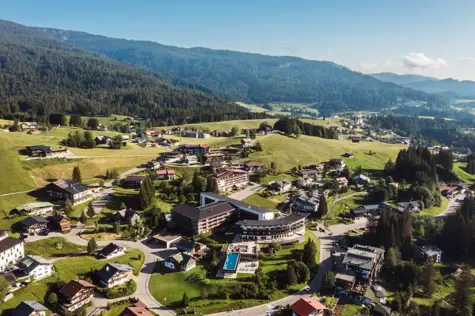 Aerial view of a mountain village surrounded by trees and mountains under a clear sky.