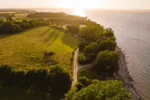 A path between trees by a body of water.
