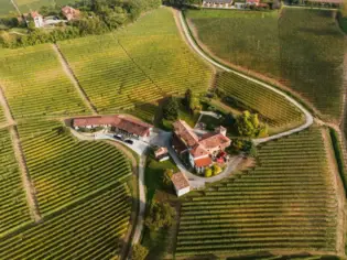 A winery surrounded by vineyards photographed from a bird's eye view.