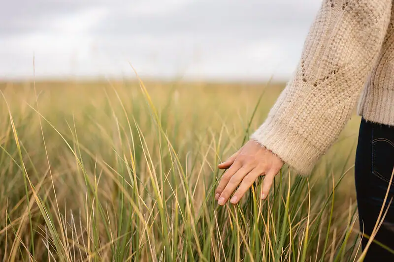 Hand in den Dünen Eine Hand berührt hohes Gras.