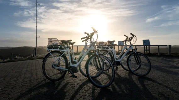 A group of white A-ROSA bicycles parked on a sunny road.