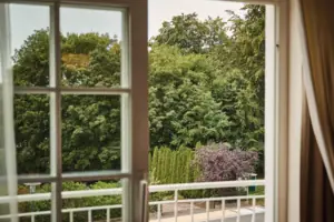 View of trees through a window