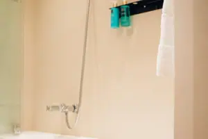 Shower bath