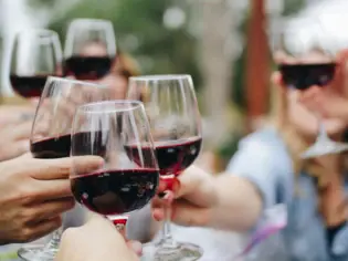 Group of people holding wine glasses.