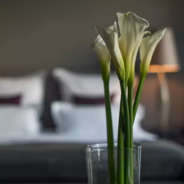 Vase with flowers on a table indoors.