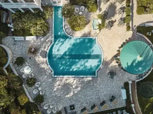 A bird's eye view of the swimming pool in the garden, surrounded by trees and plants.