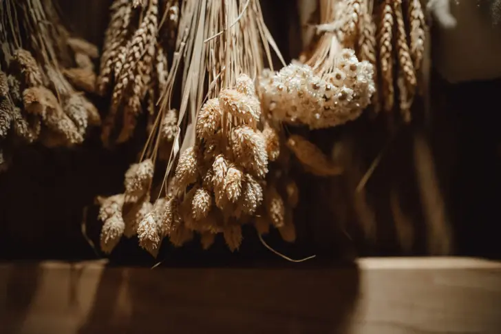 An atmospheric image of hanging ears of grain and dried herbs in warm light. The ears of corn and herbs are hanging upside down and are photographed from the side, casting a soft shadow on a wooden surface below.