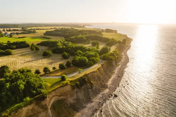 An aerial view of a beach with a grassy area and trees.
