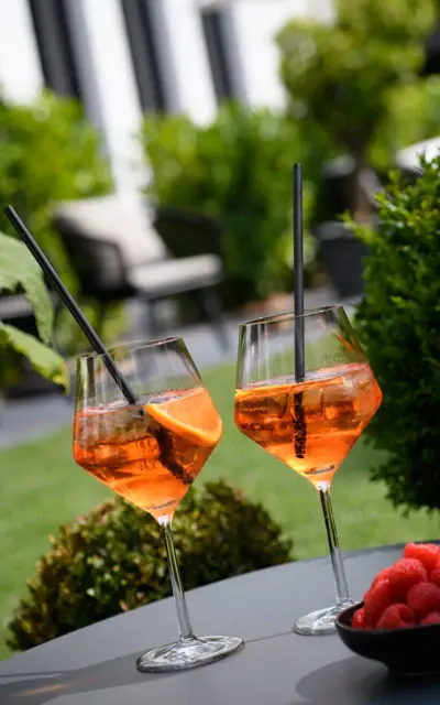 Two glasses of Aperol with straws next to a bowl of raspberries on an outdoor table surrounded by trees and flowers.