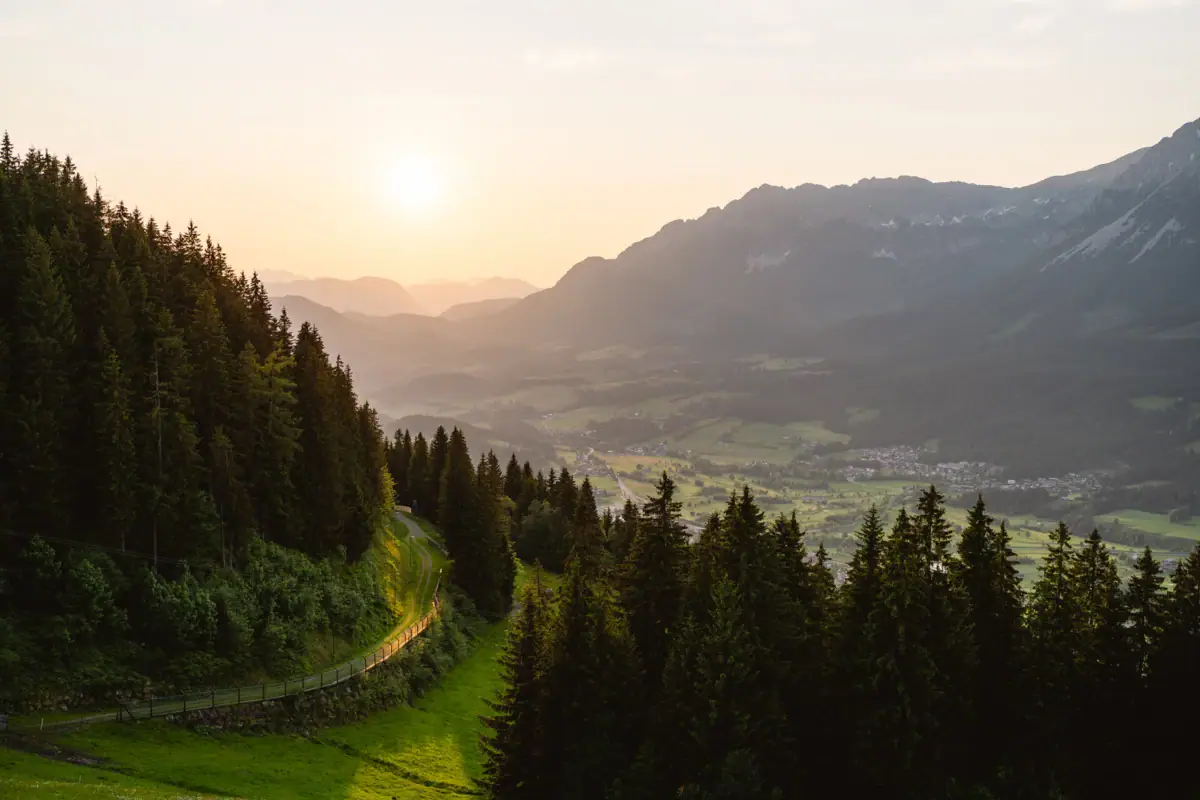 Straße in einem Tal mit Bäumen und Bergen.