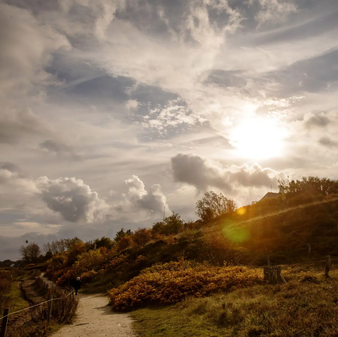 A path through the dunes on Sylt in autumn.