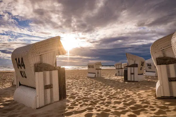 A group of beach chairs on the beach.